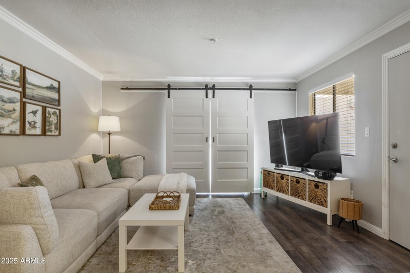 Barn Doors to Balcony