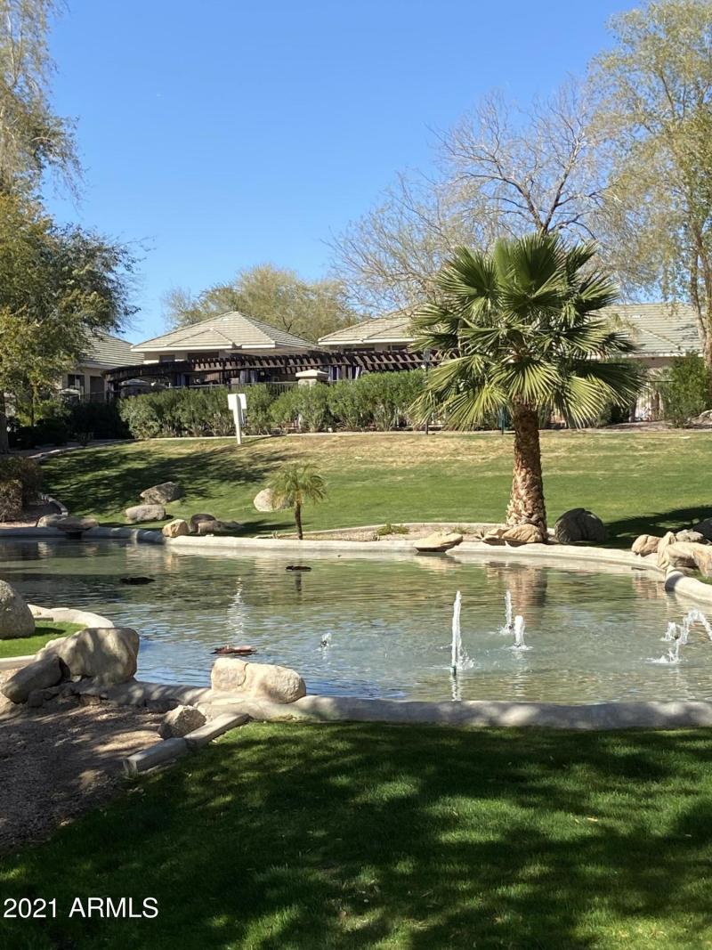 Beautiful Landscaping