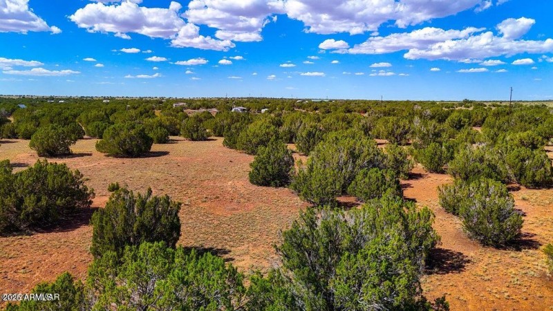 20240707224201743368000000-o