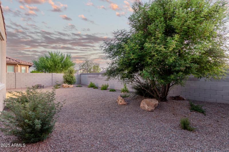Backyard with beautiful landscaping