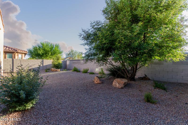 Beautiful backyard landscaping