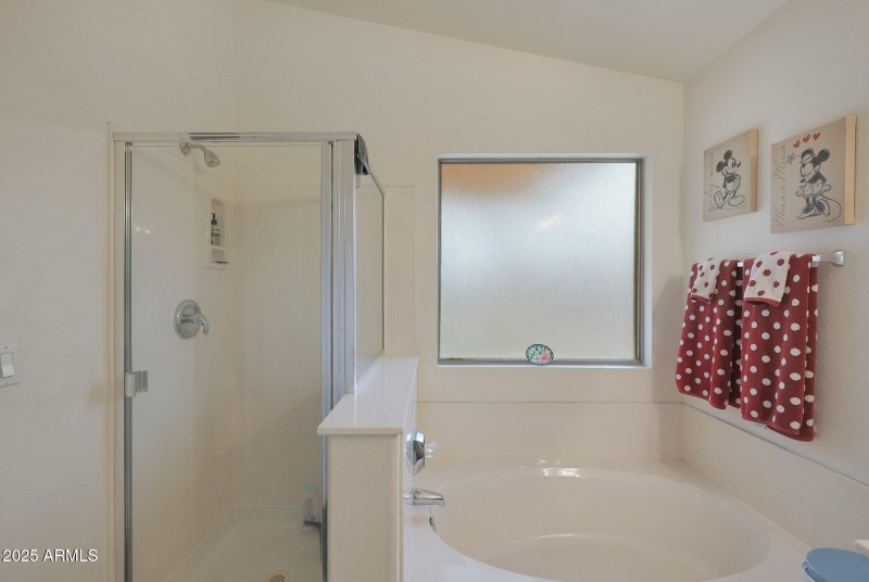 Primary Bath 2 B (8)