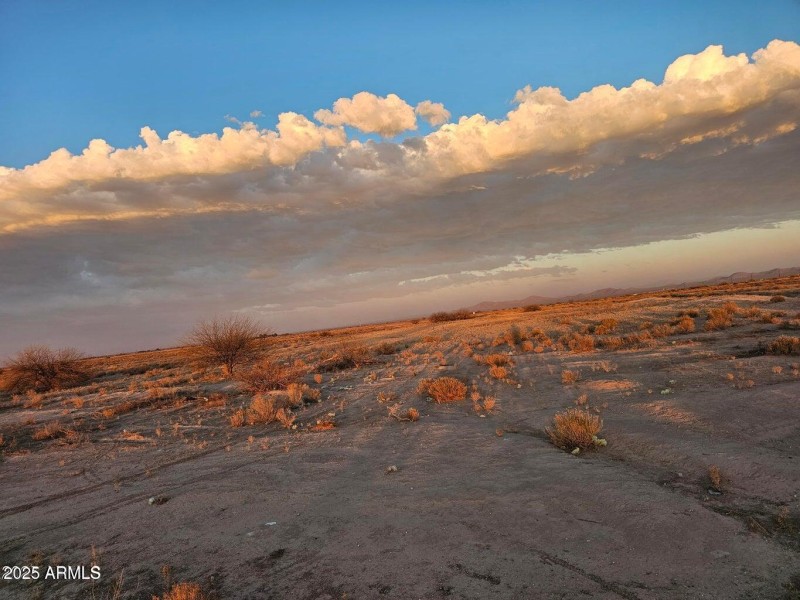 20250302060304701346000000-o