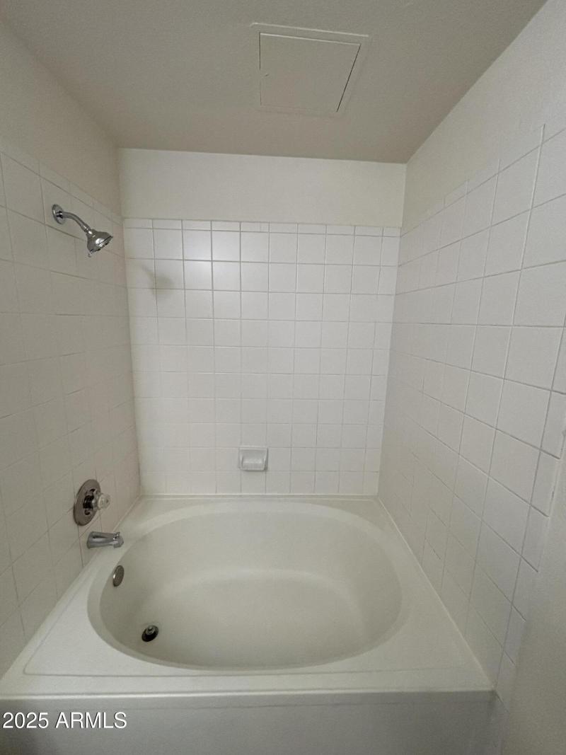 Garden Tub in Master Bathroom