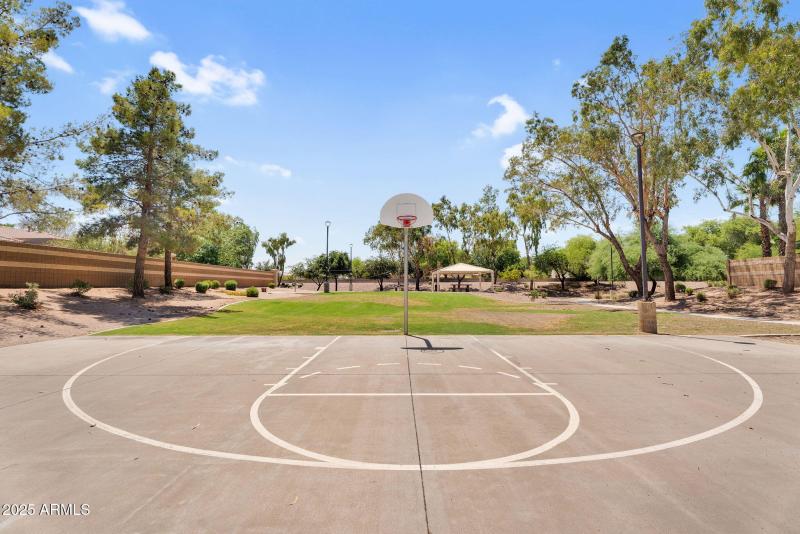 Neighborhood Basketball
