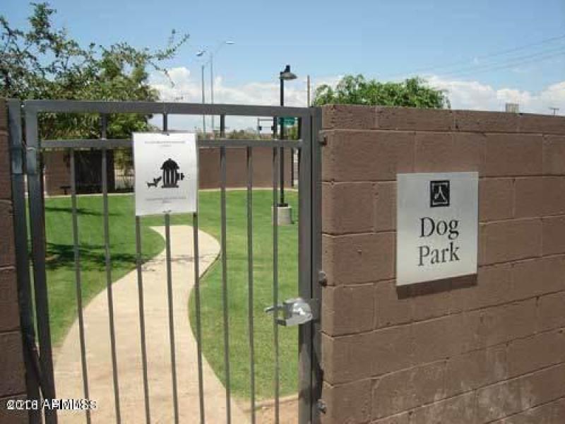 DOG PARK