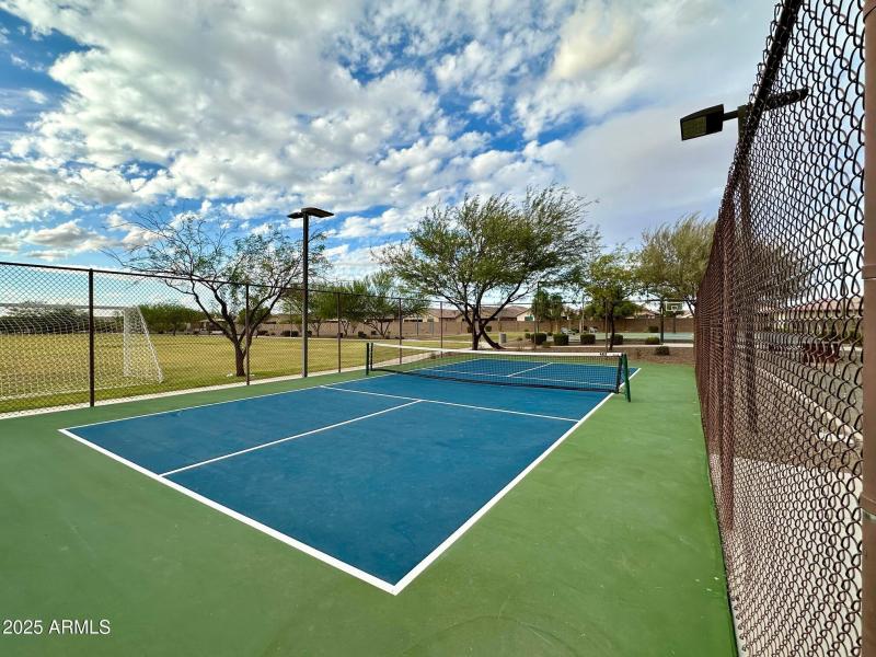 more pickle ball courts