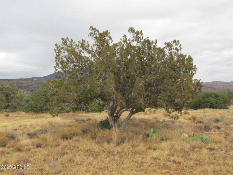 20141205205252071775000000-o