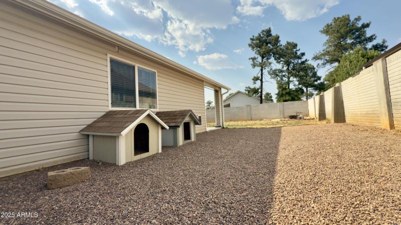 Side Backyard for dog lovers