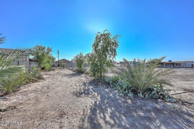 20241126205352672520000000-o