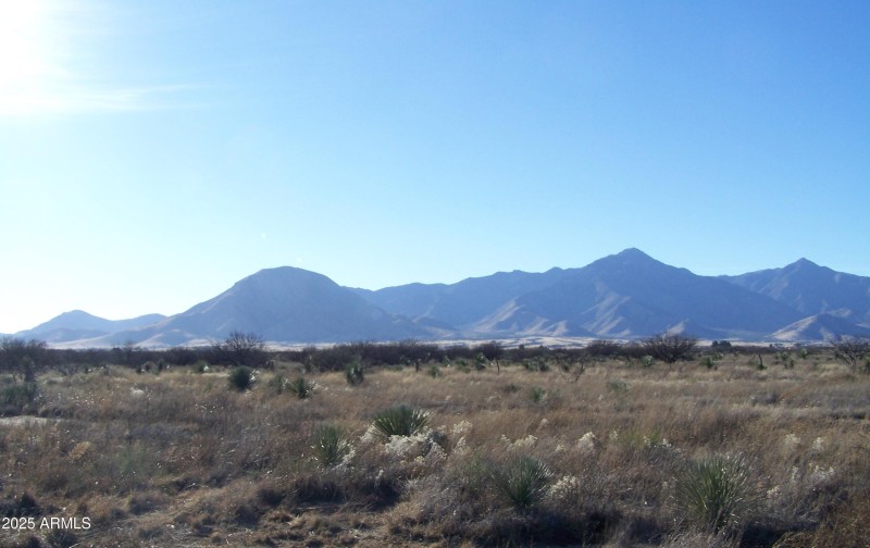 Cactus Ranch Photo 2