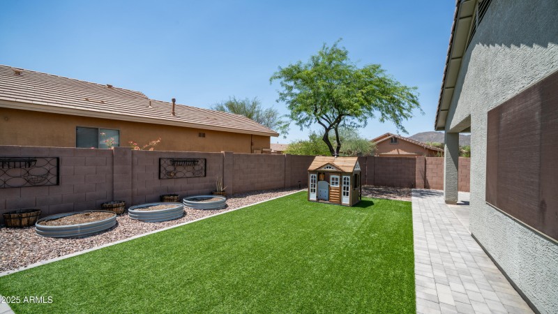 New Turf Backyard