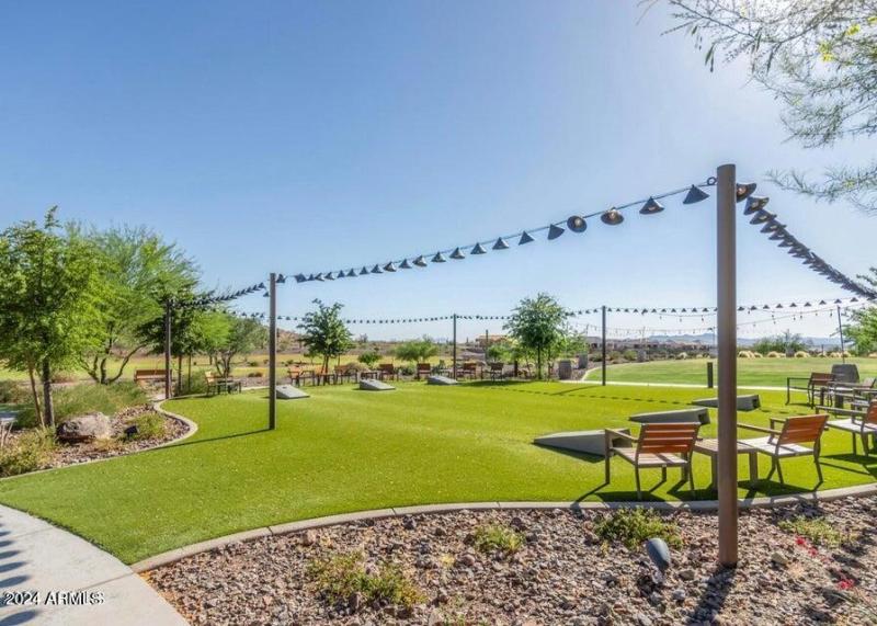 SC Festival Cornhole