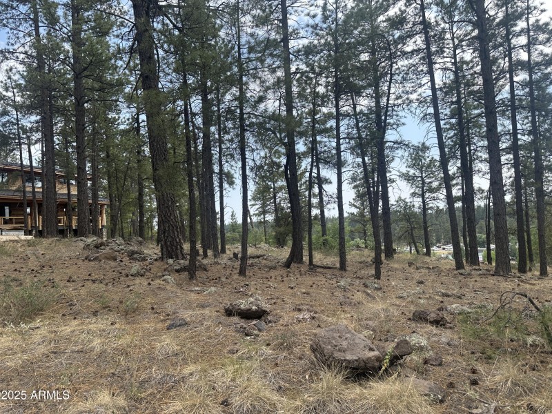 9) 60157-68757199d2ec8