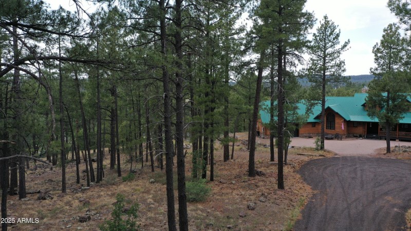 10) 60157-6875716e3e80b