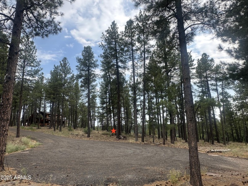 16) 60157-687571b995285