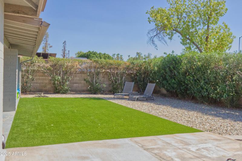 Backyard 4