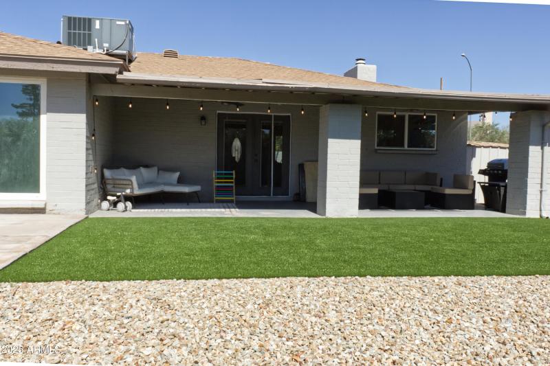 Backyard 5