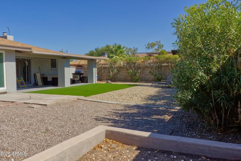 Backyard 6