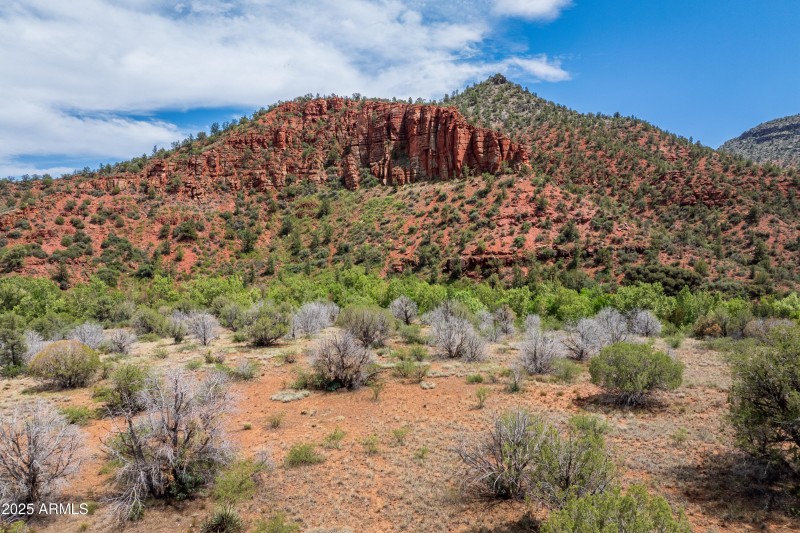 BACKS TO NATIONAL FOREST