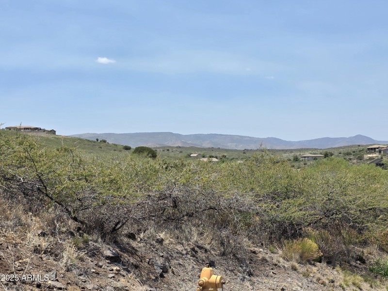 Street view facing lot