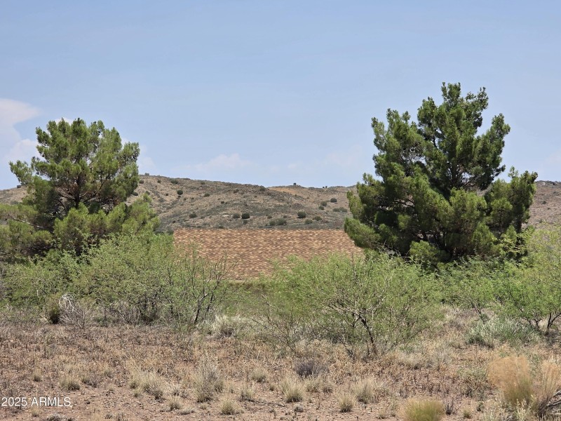 Standing facing the road