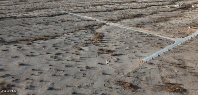 Alamo S of Ocotillo NW