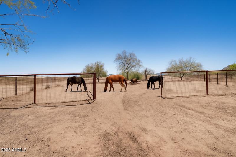 ChatGPT Image Jul 16, 2025, 02_07_59 PM