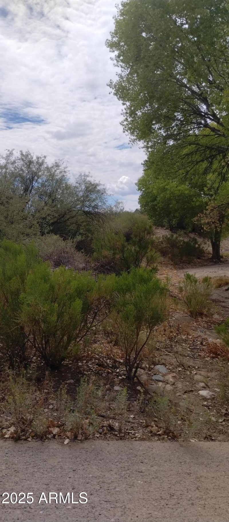 IMG_20240825_120500479