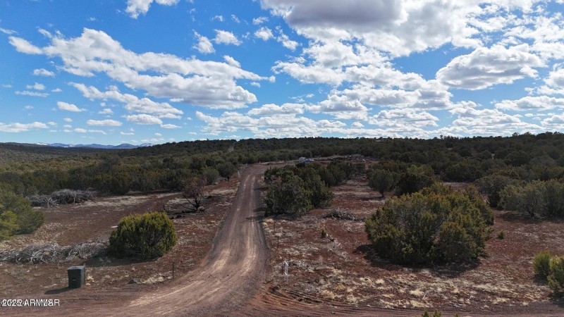 20250715054336732400000000-o