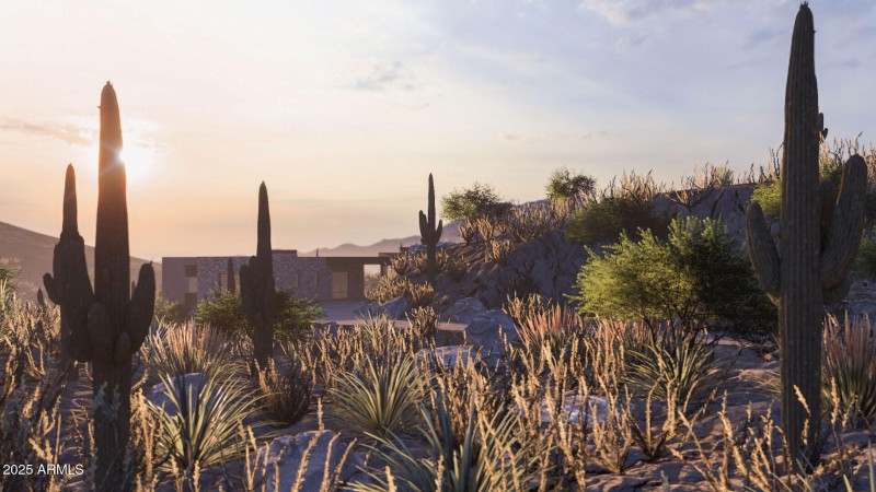 Saguaro Ranch 230702 v3_Front Elevation