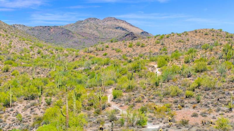 Adjacent to 2,900 Acre Preserve, Trails