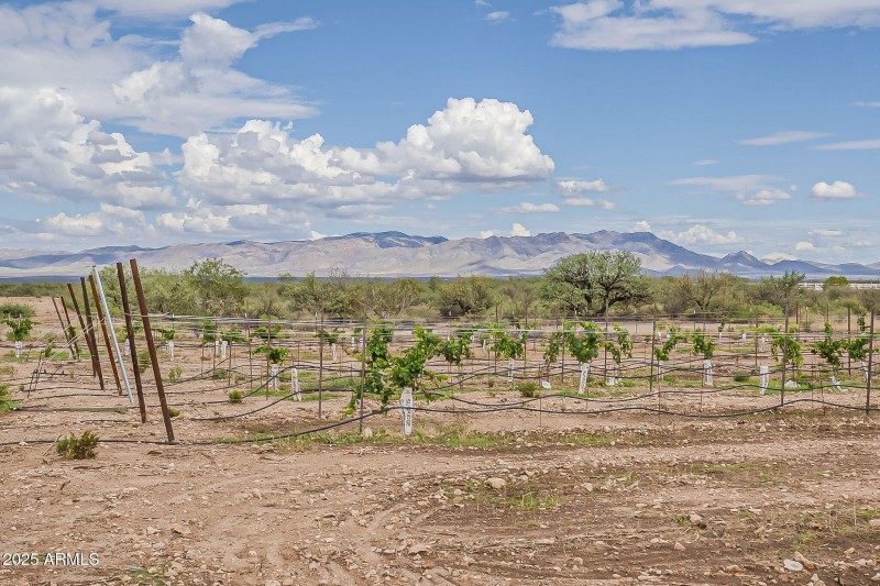 88-web-or-mls-Sb Ranch-70