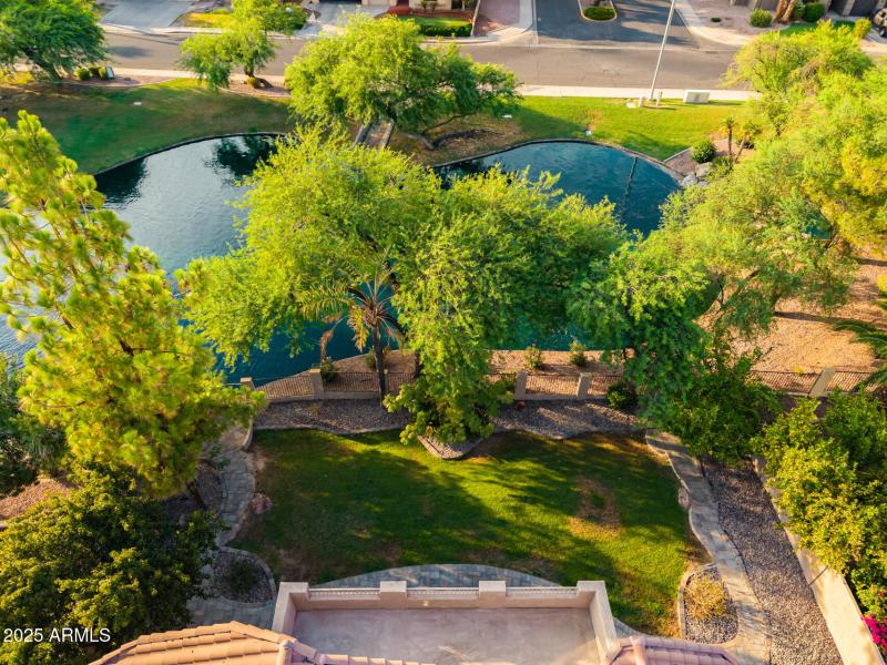 63 - Desert Broom Drone