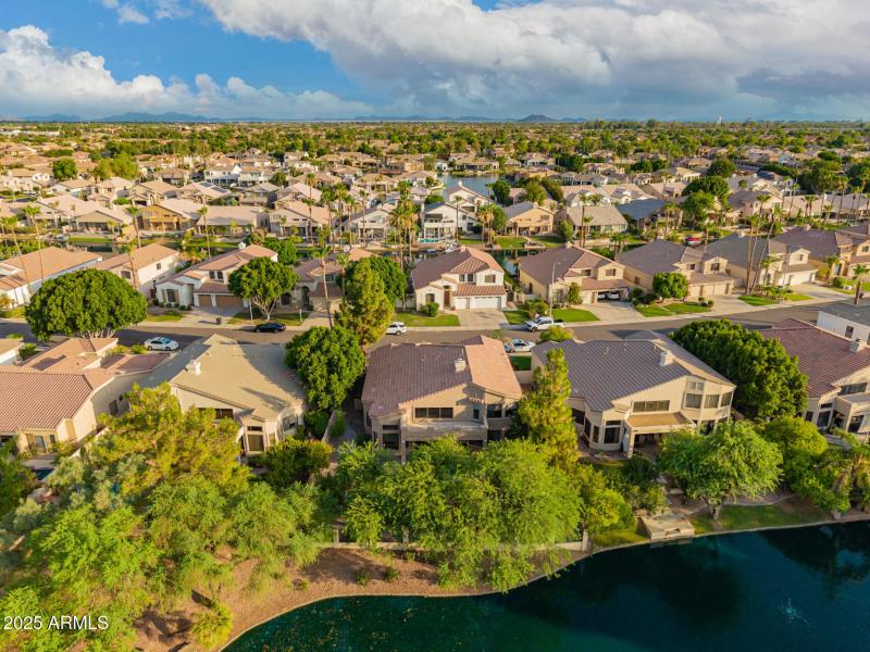 65 - Desert Broom Drone