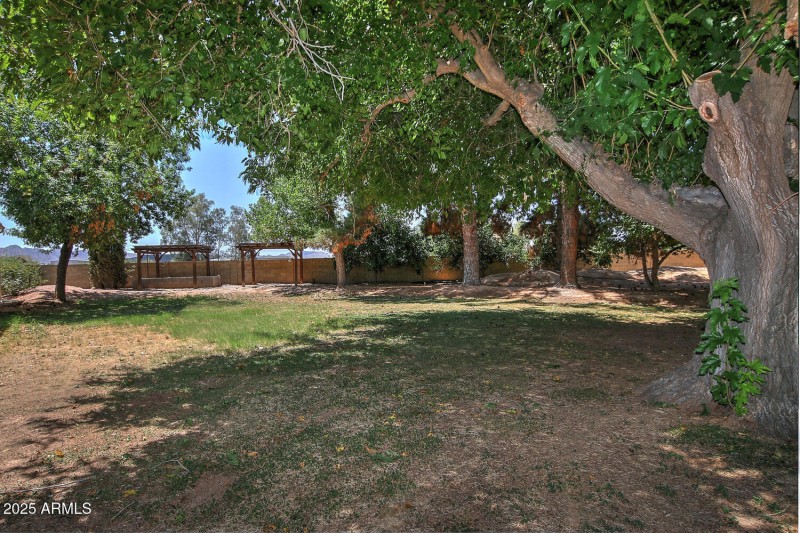 Large Backyard-027-011-1500x1000