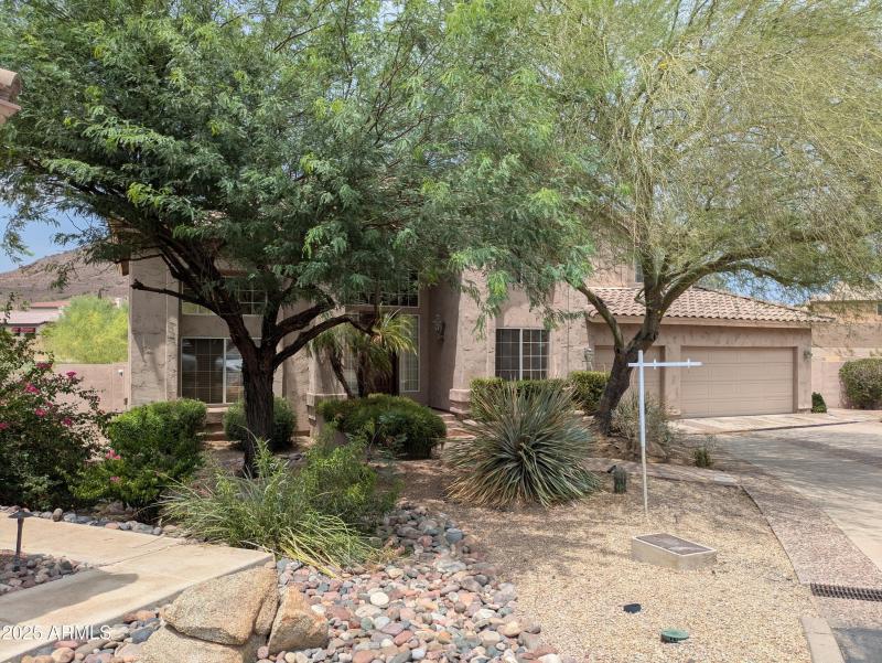 PXL_20250716_201348687