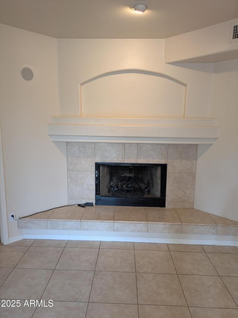 Fireplace in Family Room