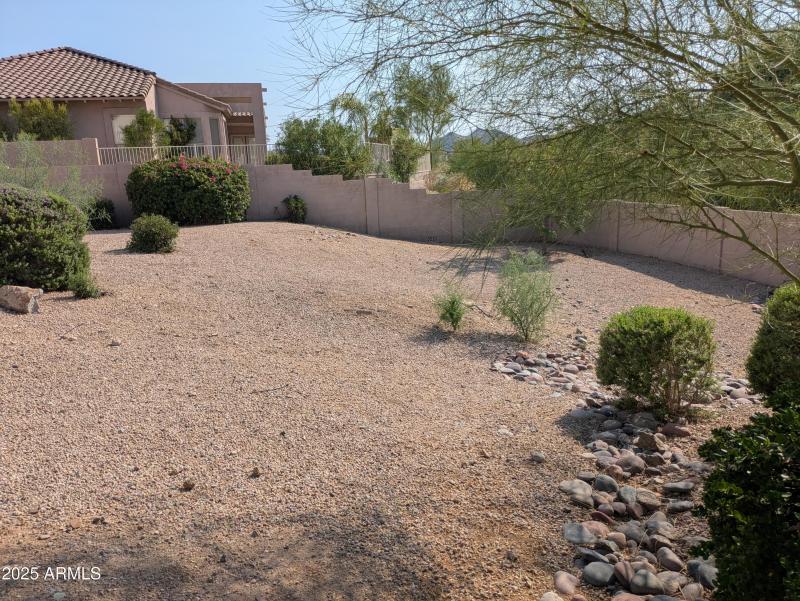 PXL_20250715_232555515