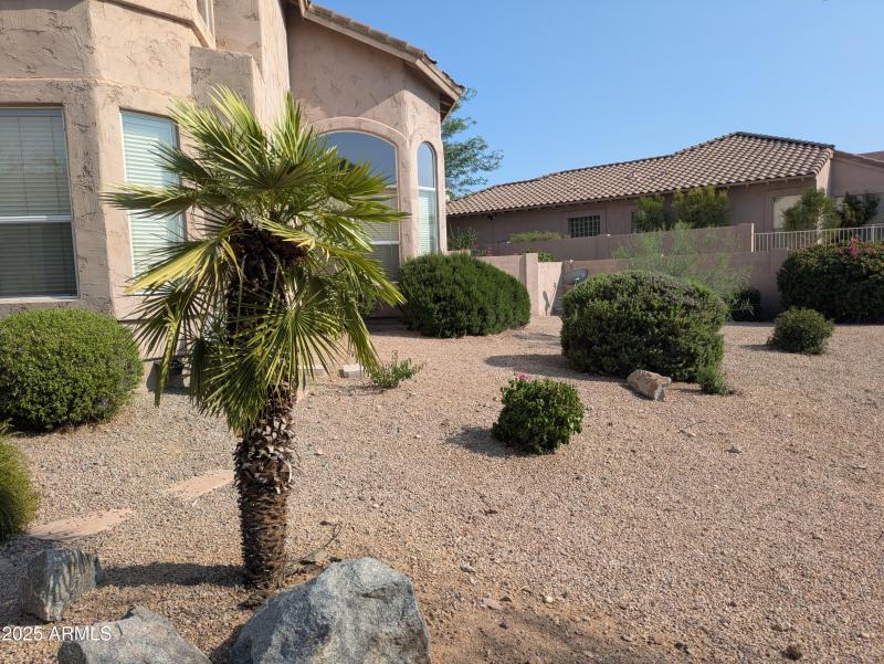 PXL_20250715_232600236