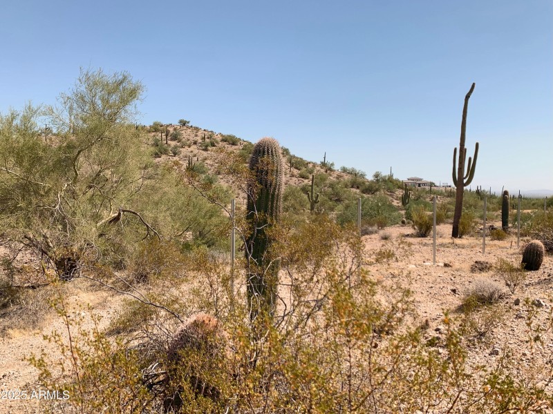 826' of Park Frontage!