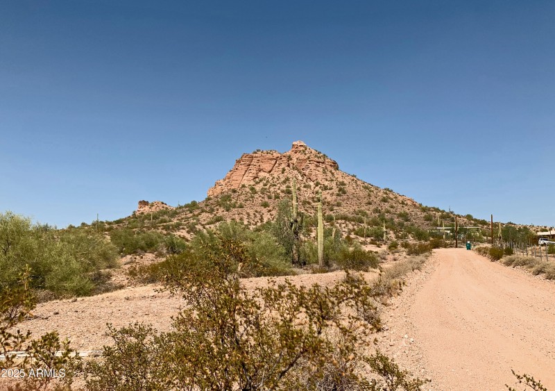 Come Home to the Country!