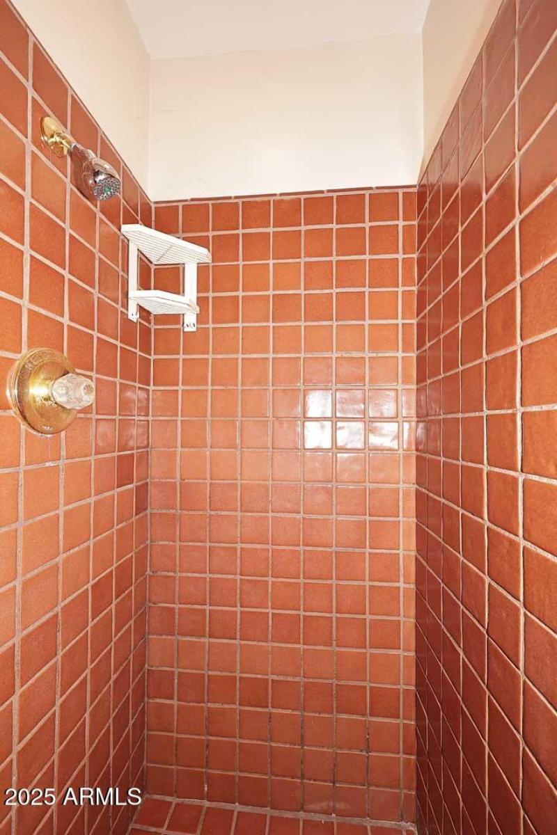 Primary Bath-Shower