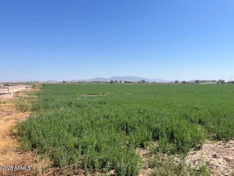 20241007205008982868000000-o