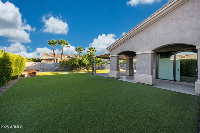 Low maintenance synthetic grass back