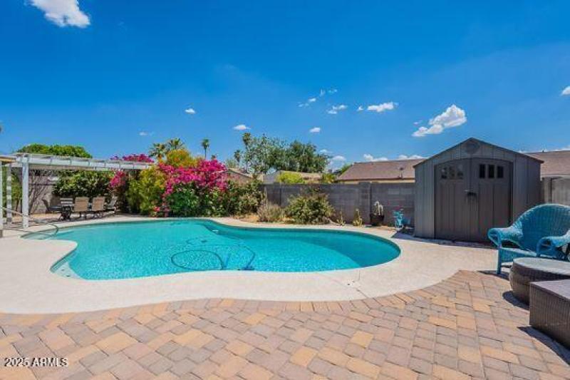Sparkling Saltwater Pool