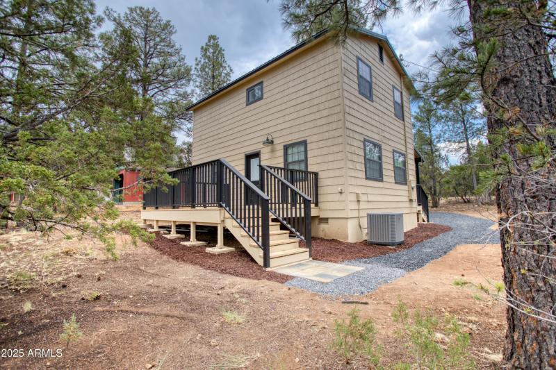 Paxmanphoto_PAX_8002