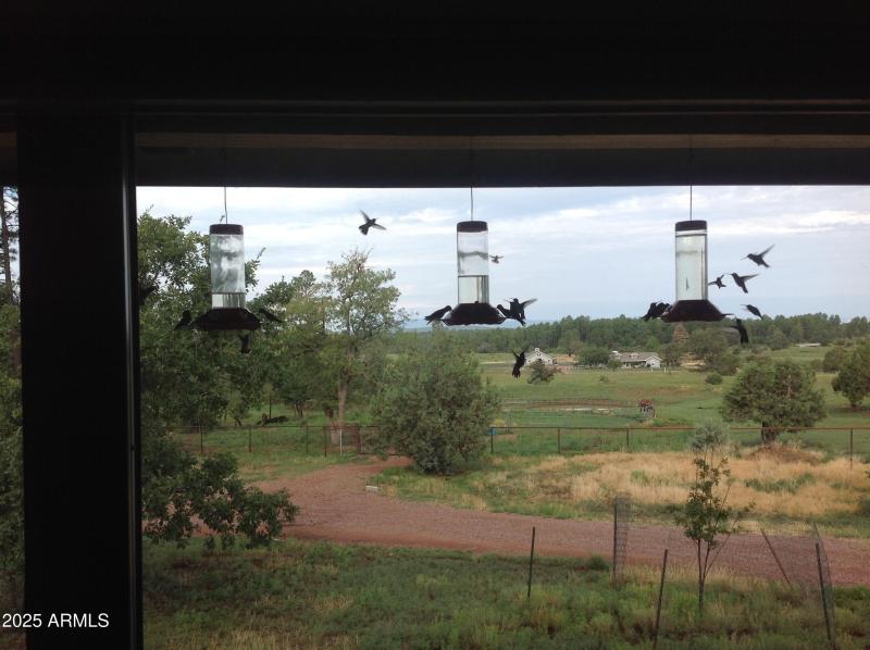 Hummers2