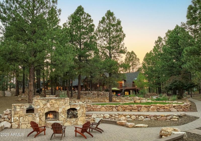 Pizza Oven/fireplace