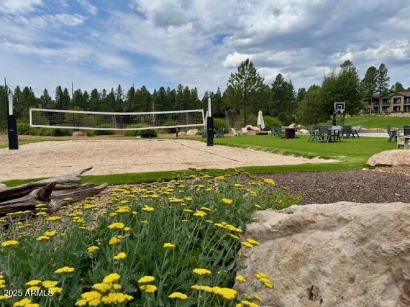 Pine Canyon ammenities